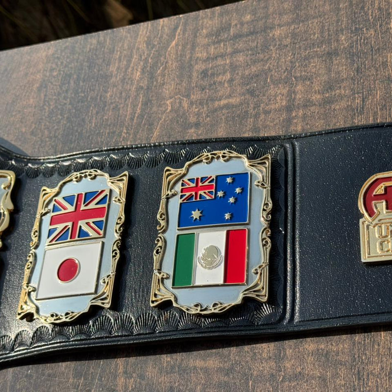apw universal heavyweight championship