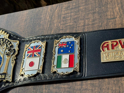 apw universal heavyweight championship