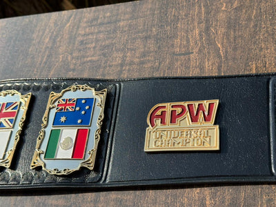 apw universal heavyweight championship