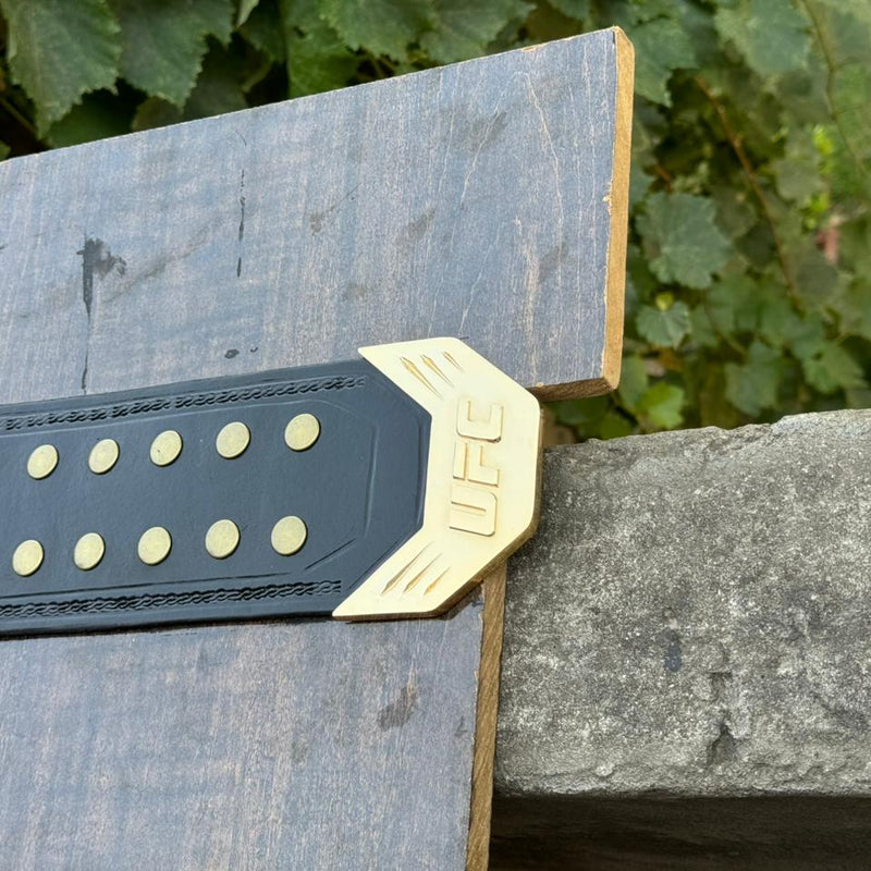 ufc world heavyweight champion