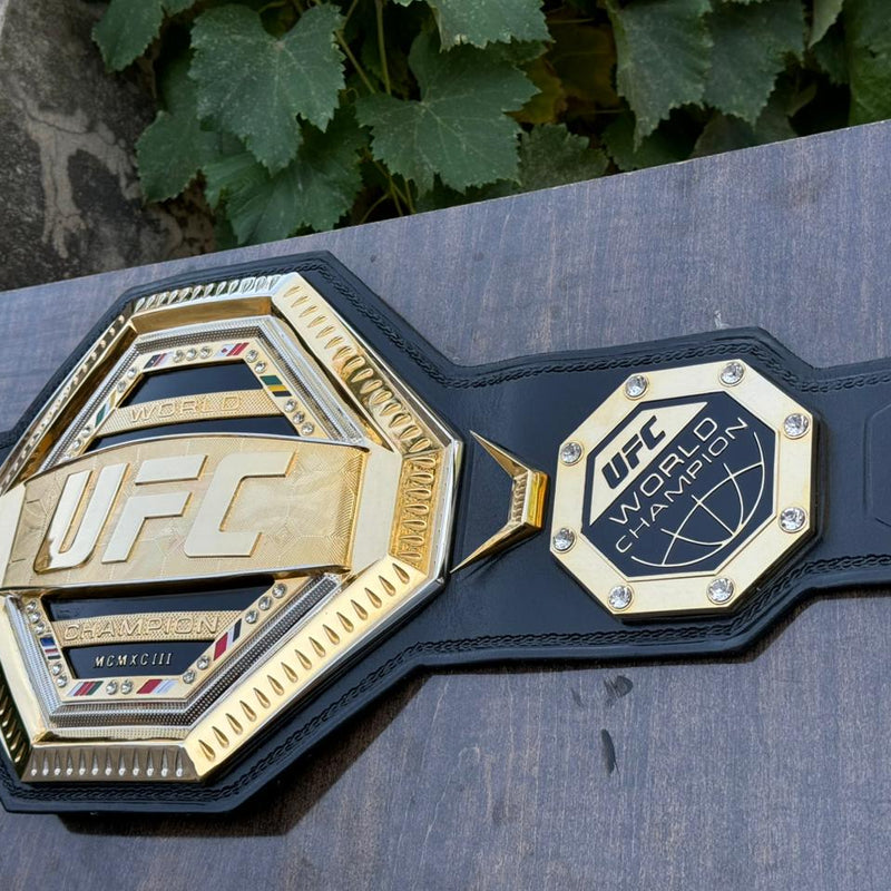 ufc world heavyweight champion