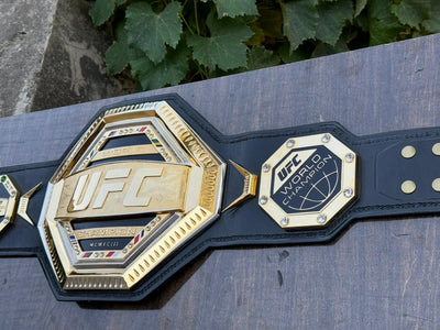 ufc world heavyweight champion