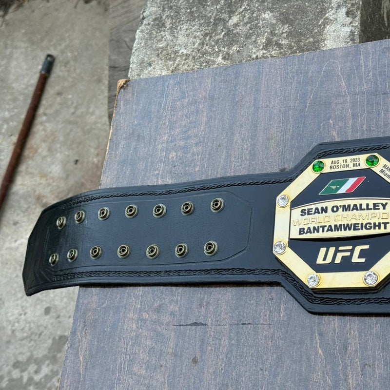 ufc world heavyweight champion