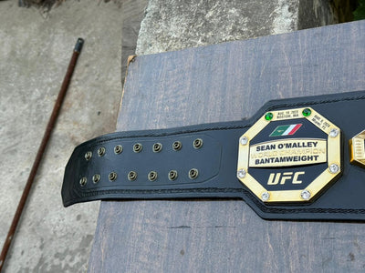 ufc world heavyweight champion
