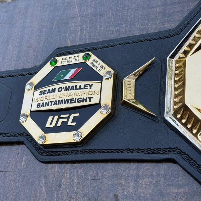 ufc world heavyweight champion