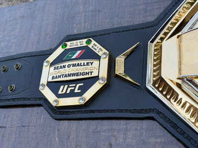 ufc world heavyweight champion