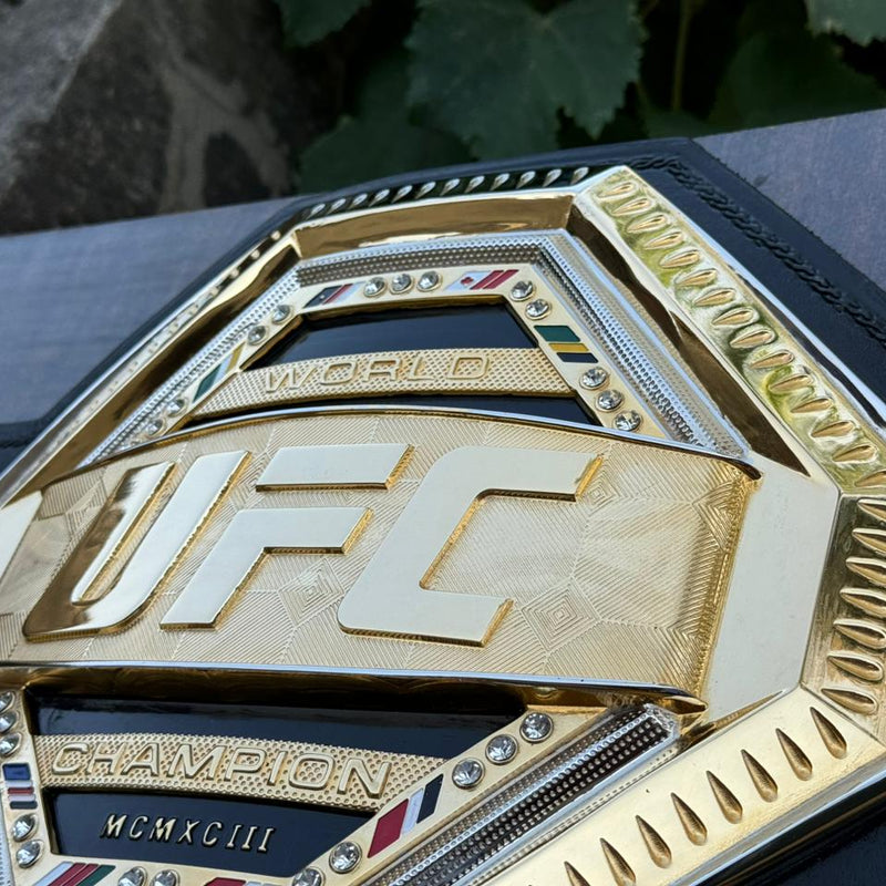 ufc world heavyweight champion