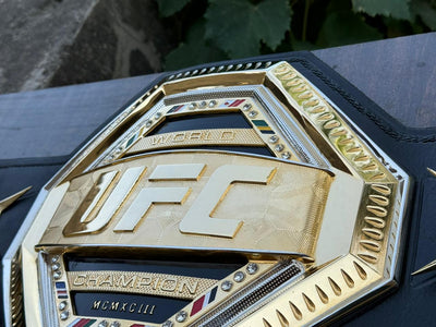 ufc world heavyweight champion