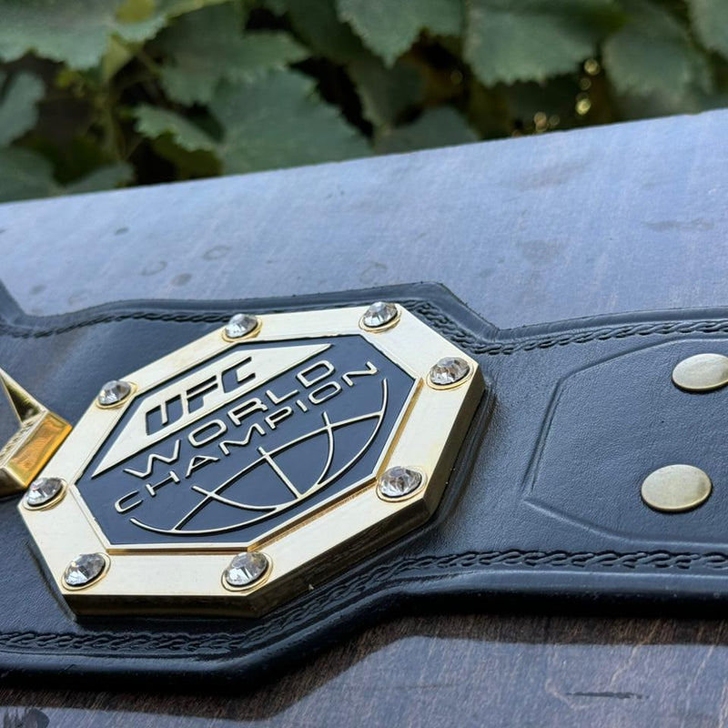 ufc world heavyweight champion