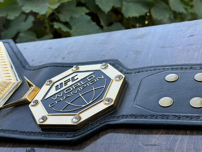 ufc world heavyweight champion