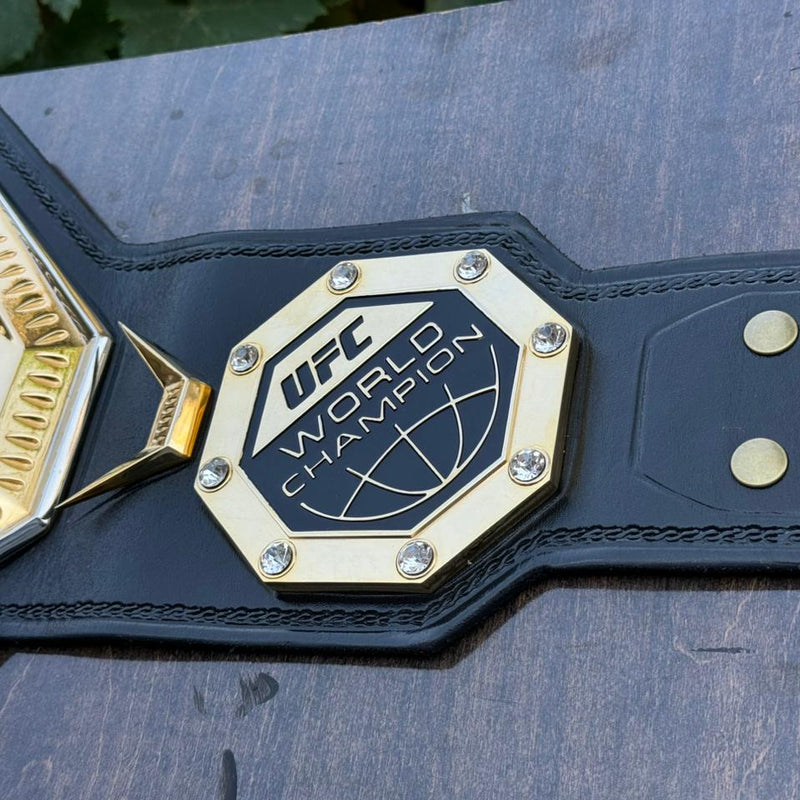 ufc world heavyweight champion