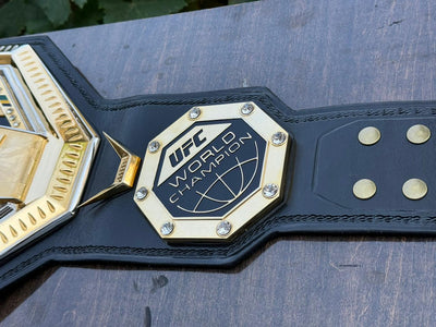 ufc world heavyweight champion