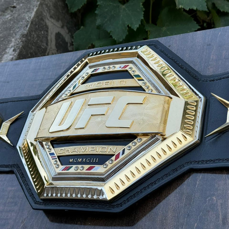 ufc world heavyweight champion