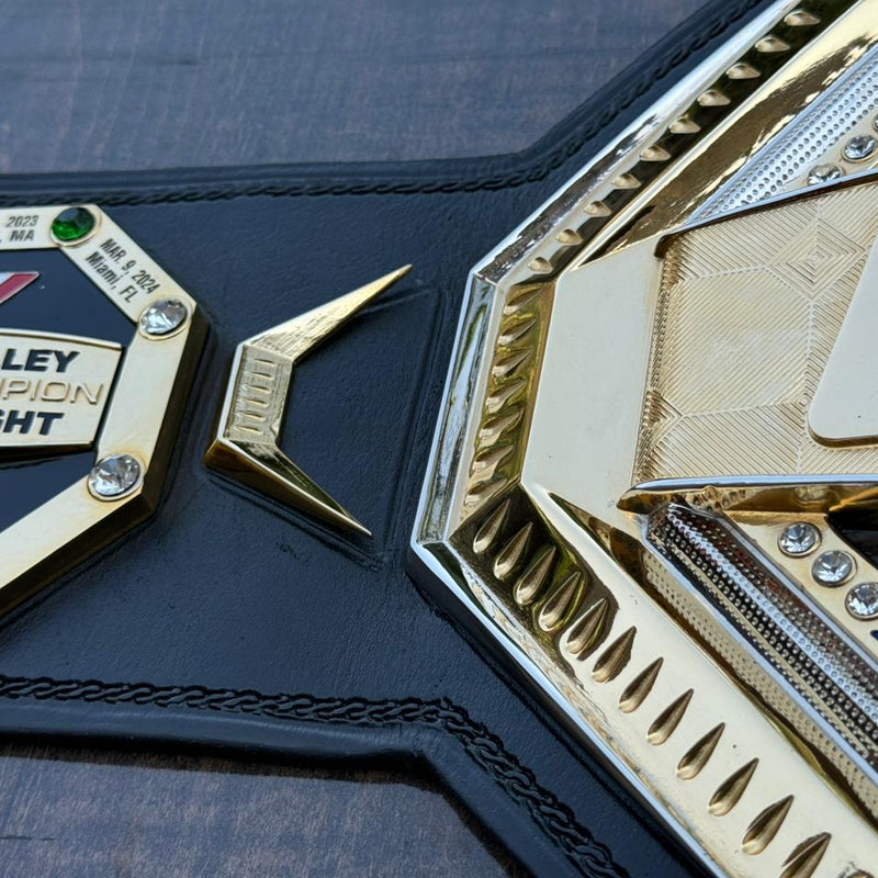 ufc world heavyweight champion