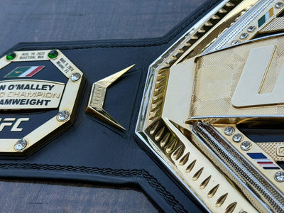 ufc world heavyweight champion