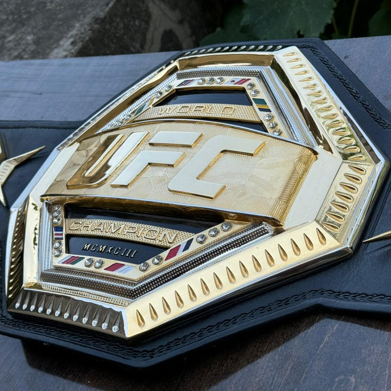 ufc world heavyweight champion