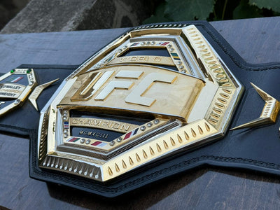 ufc world heavyweight champion