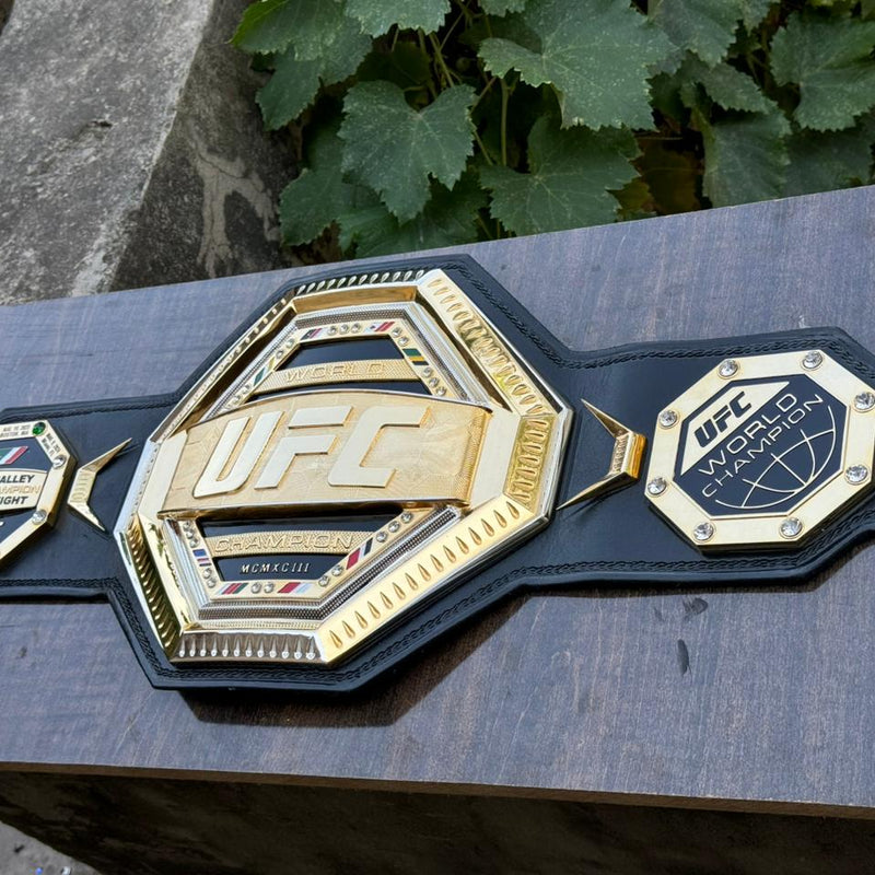 ufc world heavyweight champion