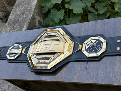 ufc world heavyweight champion