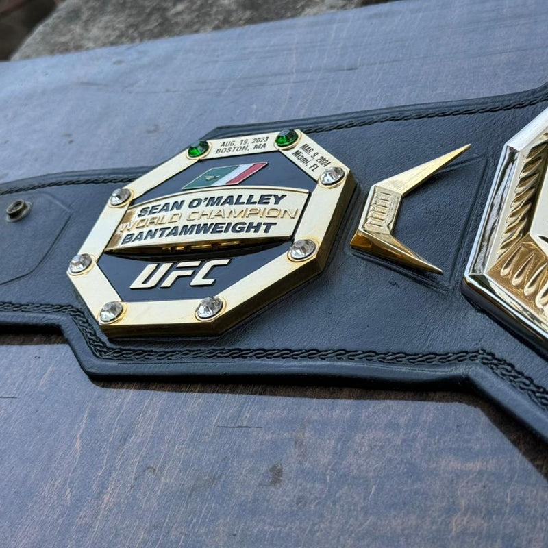 ufc world heavyweight champion