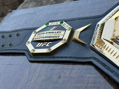 ufc world heavyweight champion