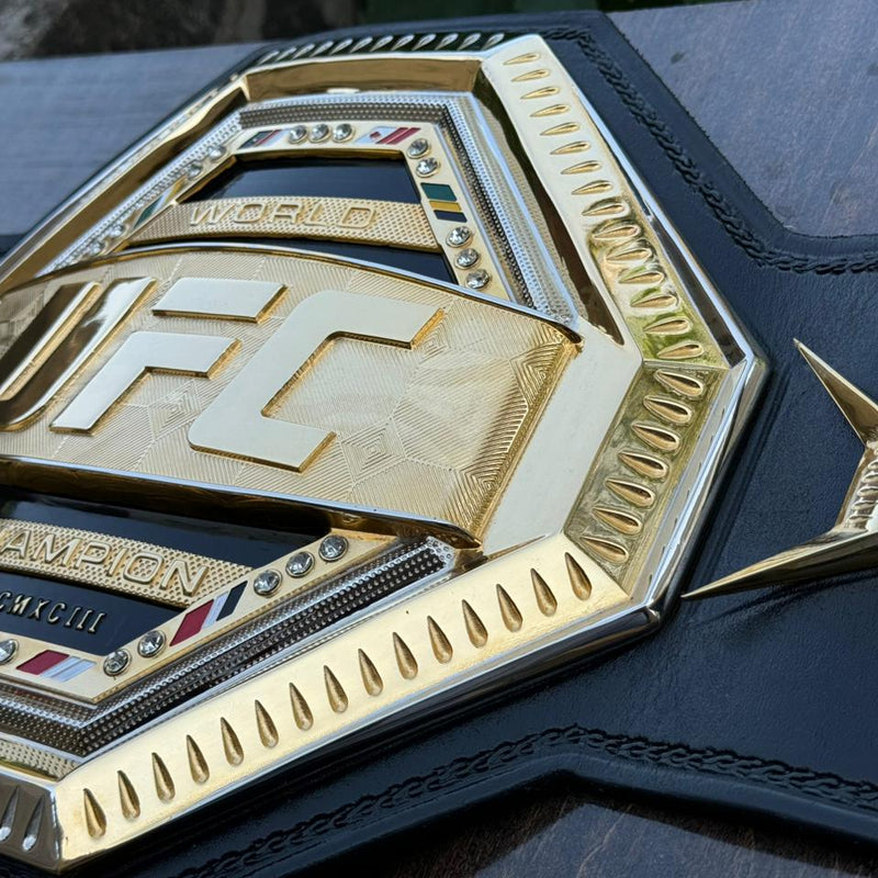 ufc world heavyweight champion