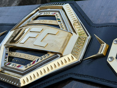 ufc world heavyweight champion
