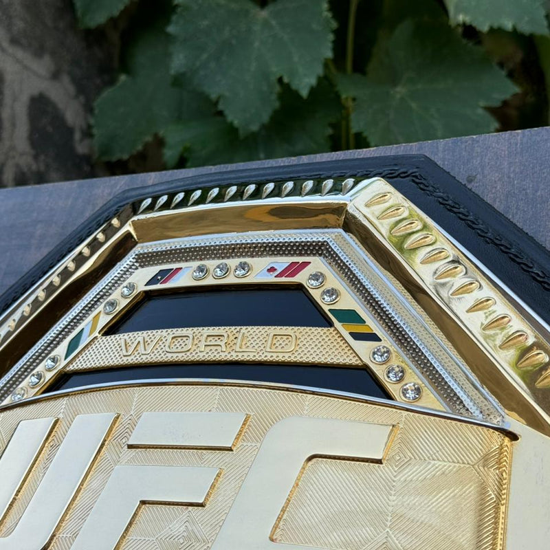 ufc world heavyweight champion