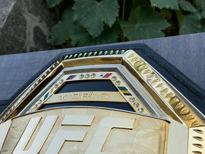 ufc world heavyweight champion