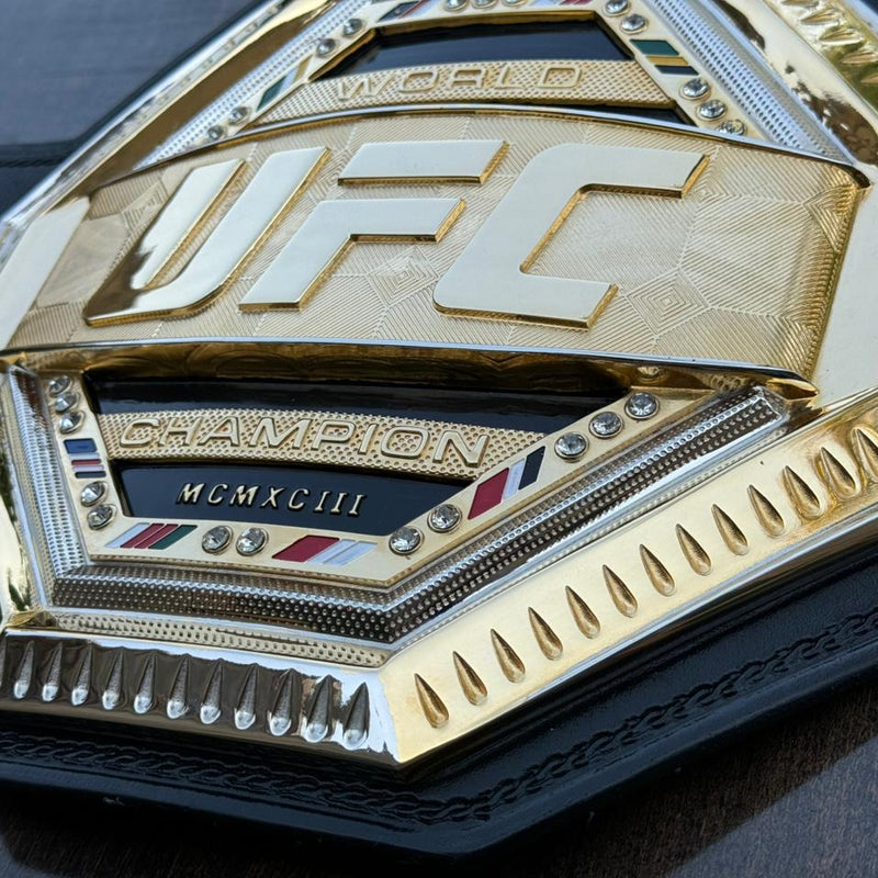 ufc world heavyweight champion