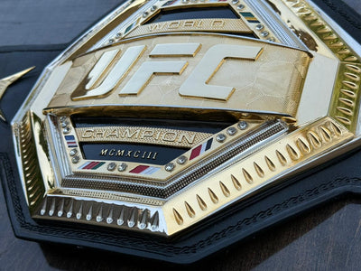 ufc world heavyweight champion