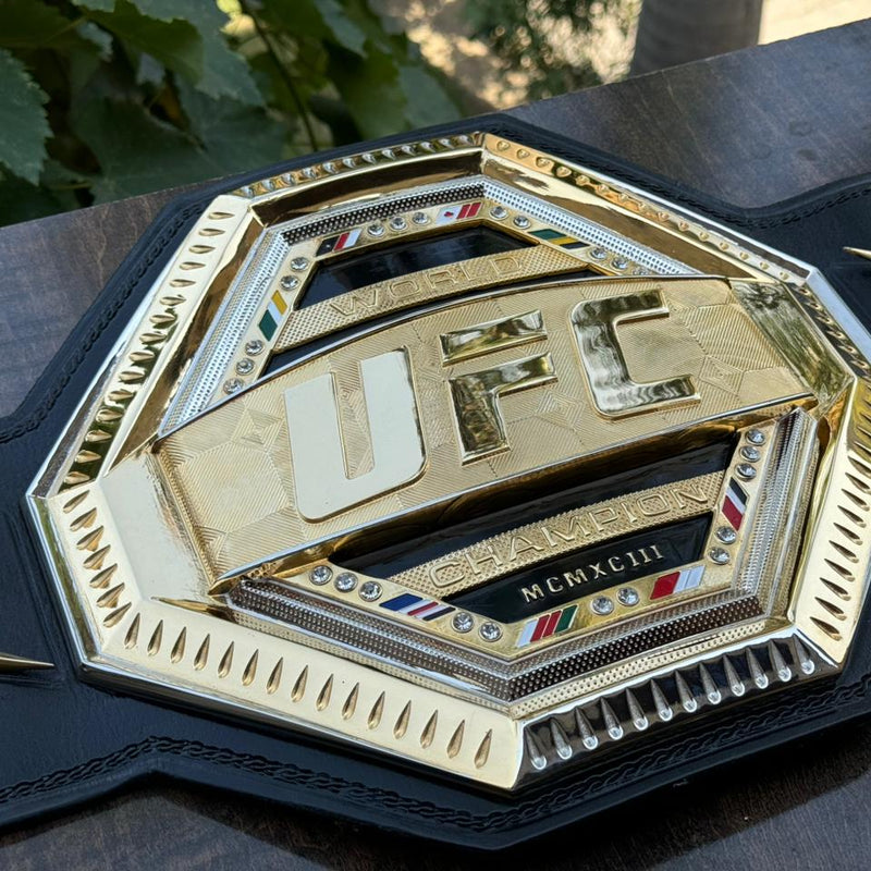 ufc world heavyweight champion