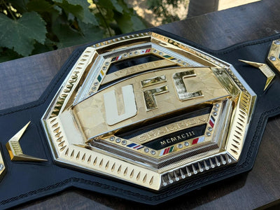 ufc world heavyweight champion