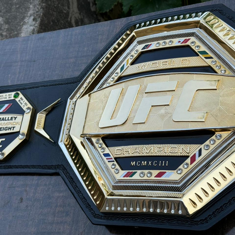 ufc world heavyweight champion