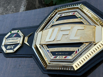 ufc world heavyweight champion