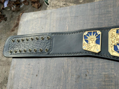 wwe united states championship