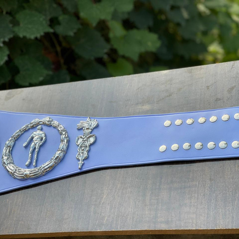 nwa world tag team championship