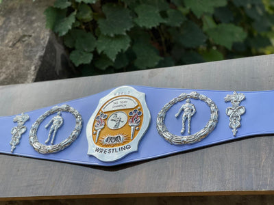 nwa world tag team championship
