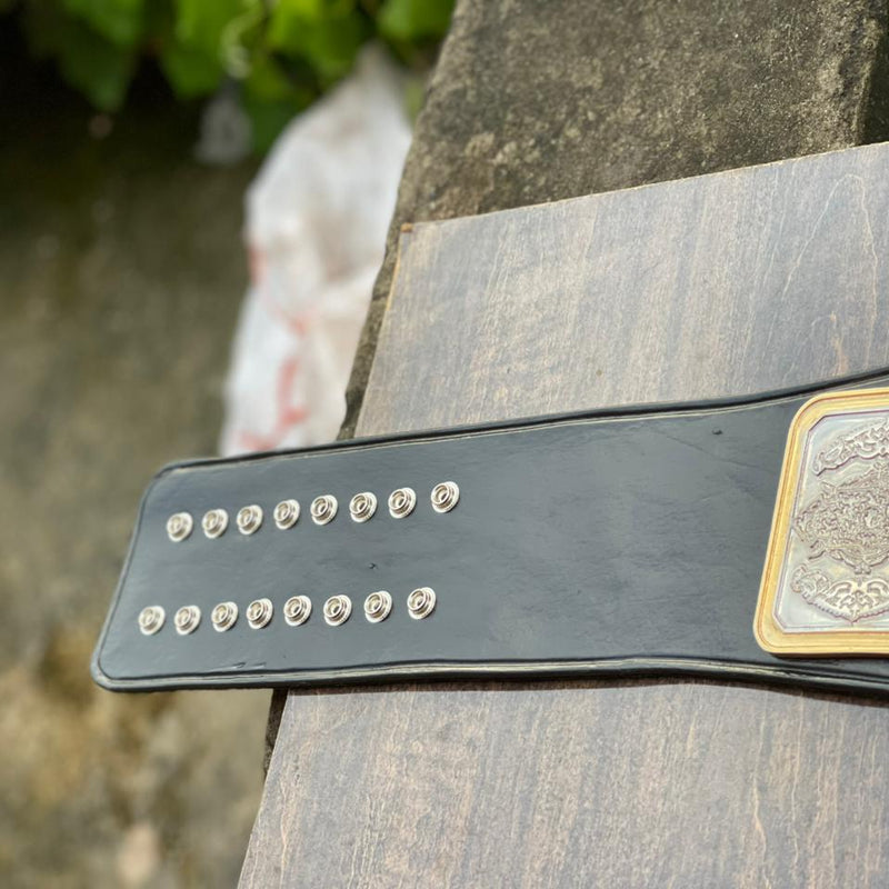 florida championship wrestling