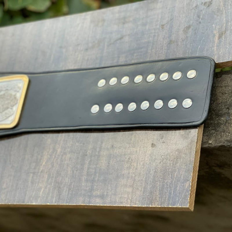 florida championship wrestling