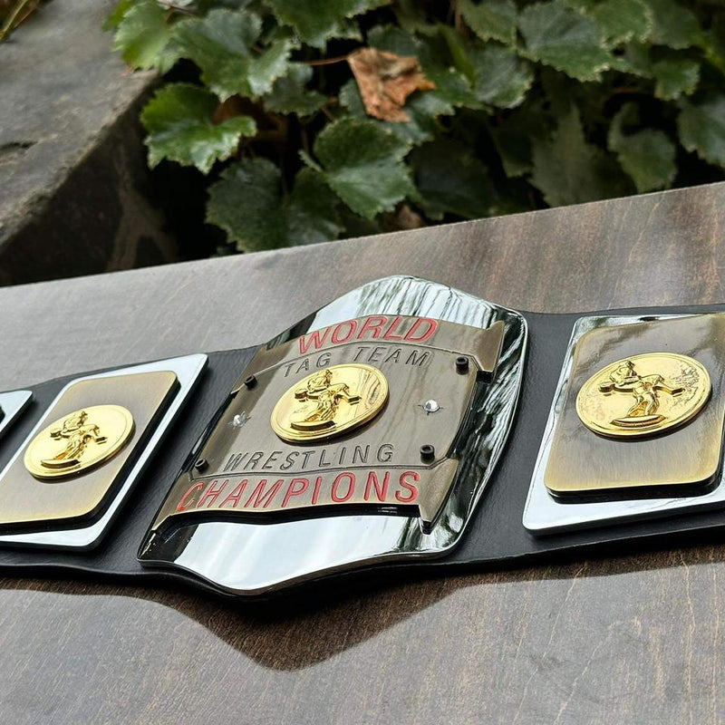 world tag team championship