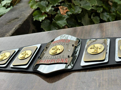 world tag team championship