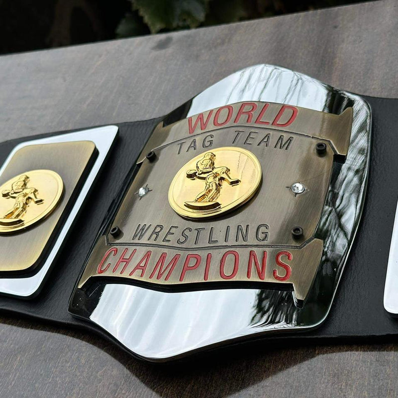 world tag team championship
