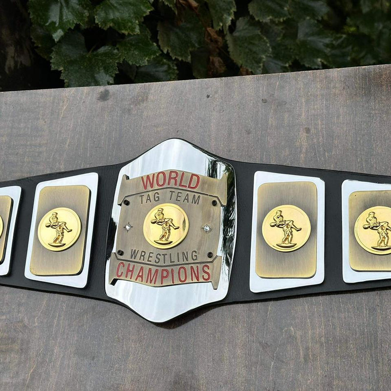 world tag team championship
