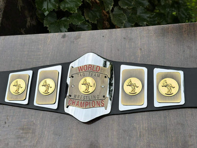 world tag team championship