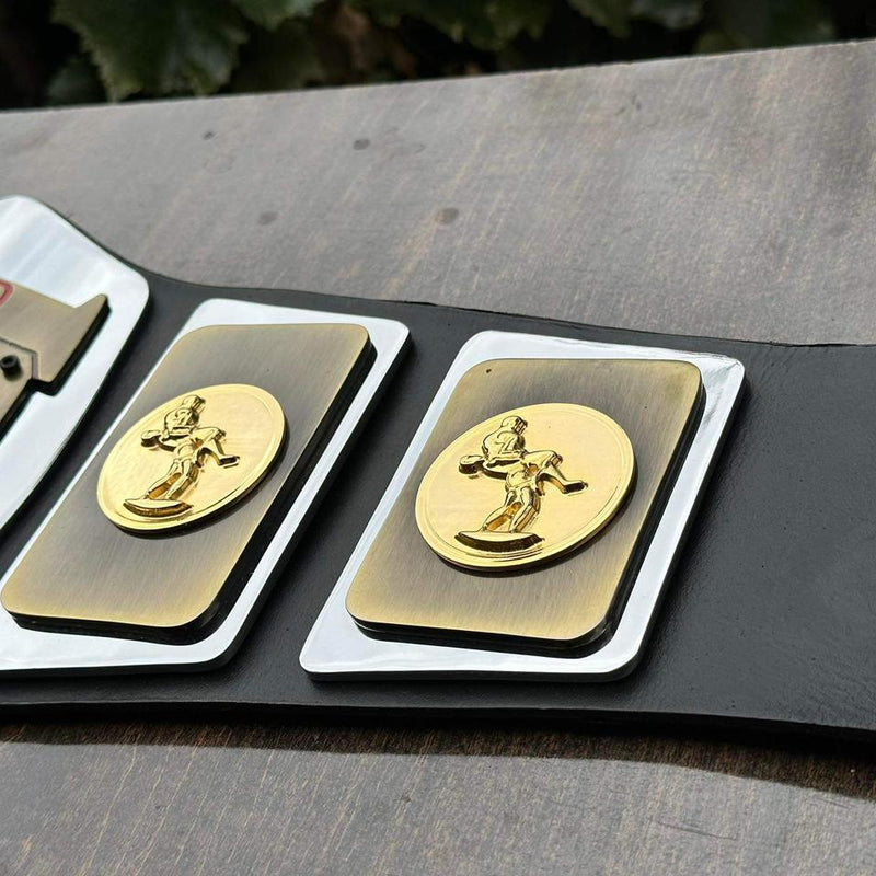 world tag team championship