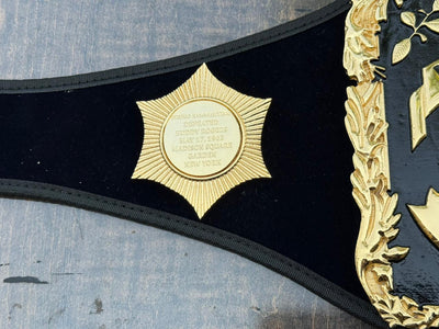 WWF WORLD CHAMPION CASTED BELT