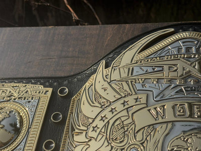 TNA World Heavyweight Championship