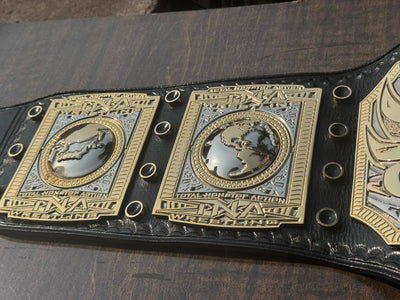 TNA World Heavyweight Championship