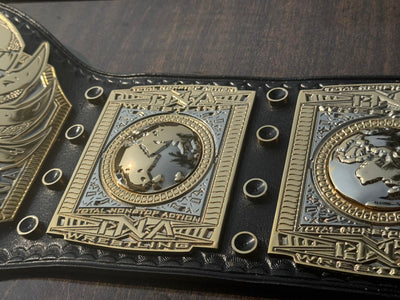 TNA World Heavyweight Championship